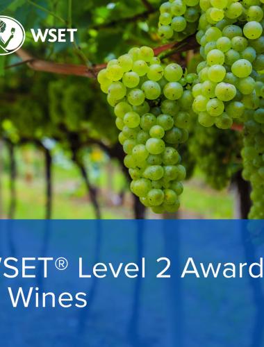 WSET Level 2 Wines