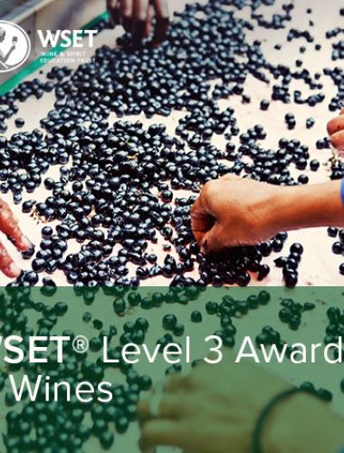WSET Level 3 in Wines